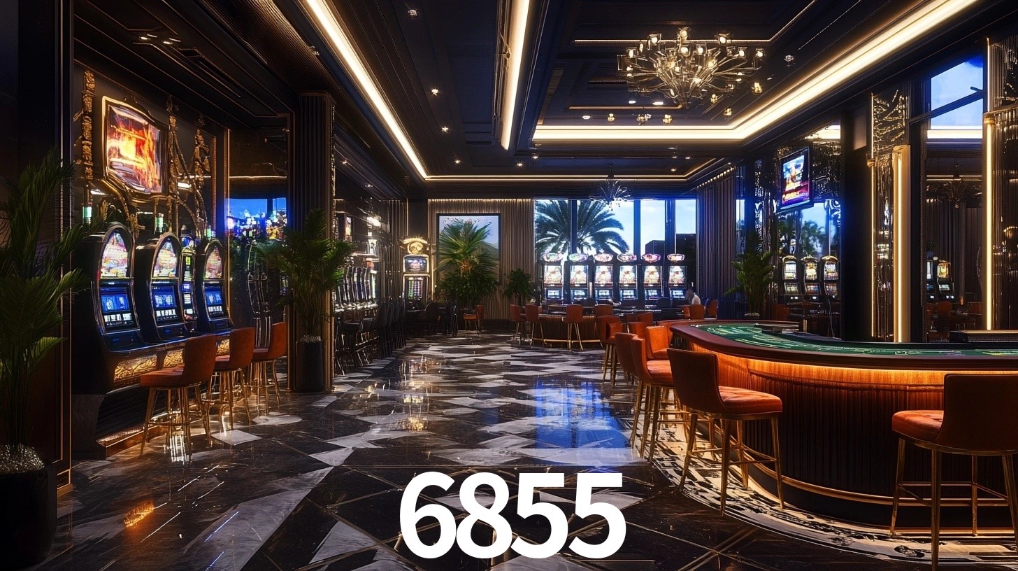 6855 App Interface