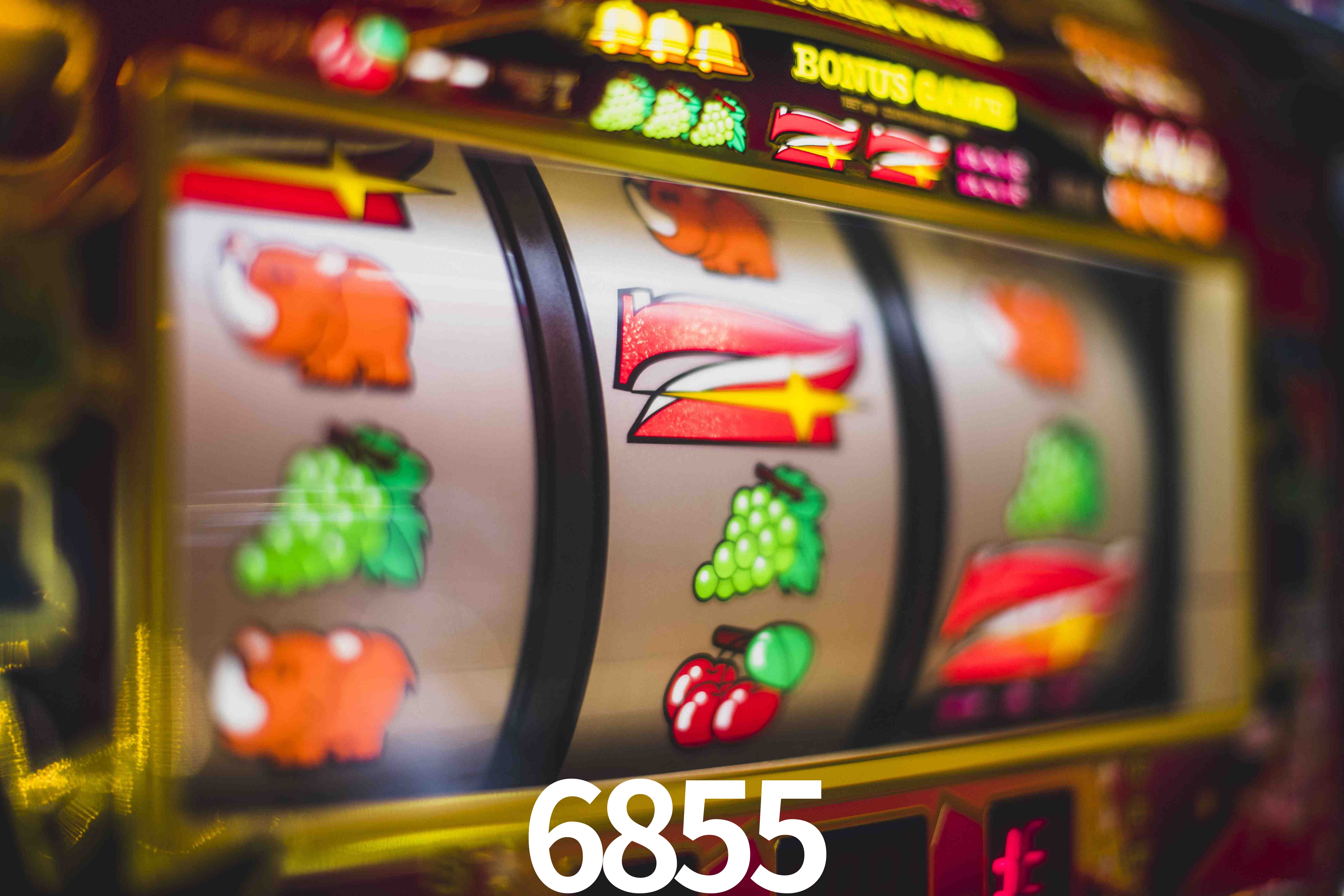 Basketball Betting 6855